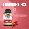 Ancient Bliss Berberine HCL 1200mg with Ceylon Cinnamon, Bitter Melon,