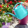 Fasmov 1-Gallon Plastic Watering Can with Comfortable Handle, Garden Watering