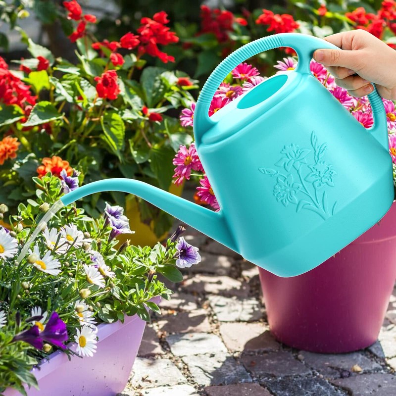 Fasmov 1-Gallon Plastic Watering Can with Comfortable Handle, Garden Watering