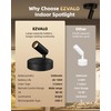 EZVALO Spotlights Indoor with Remote,5500mAh Rechargeable Uplighting Indoor, Wireless LED