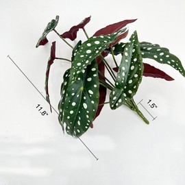 Shirfloral 2Pcs Begonia Maculata Artificial Plant 11.8In Fake Trout Begonia Faux Polka Dot Greenery Plant for Office Desk Indoor Outdoor Home Planter Decor