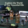 Lagunamoon Essential Oils Set - Top 6 Blends for Diffusers,