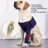GLOGLOW Elbow Bandage for Dogs, Prevent Licking, Comfortable, Highly Elastic