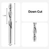 SpeTool Extra Long Down Cut 1/4 Shank Carbide Flush Trim