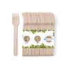 GREENBOX 100 forchette monouso in legno, biodegradabili, compostabili, resistenti, 14