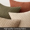MIULEE Pack of 4 Rust-Olive Green Throw Pillow Covers 20x20