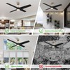 Parrot Uncle Black Ceiling Fans with Lights and Remote, 60