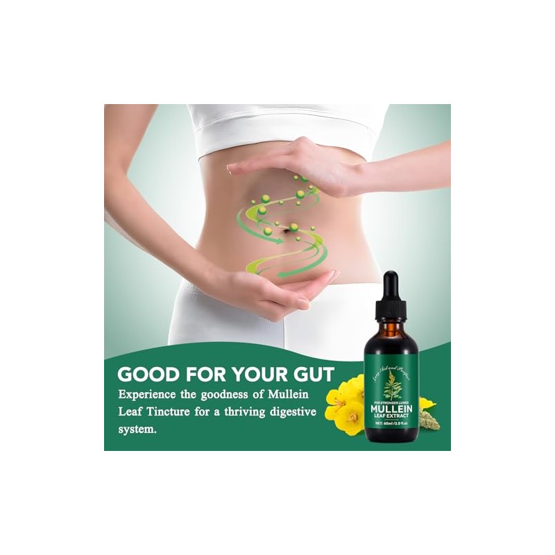 Mullein Leaf Extract for Lungs,60ML Premium Mullein Leaf Extract Drops
