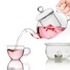 TAMUME 600ML Klassische Art-Glasteekanne mit Infuser Glassieb und Kappe