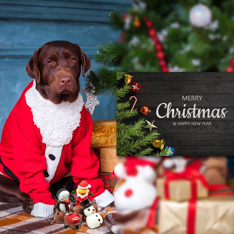 Petopedia 5 Pack Dog SQUEAKY Dog Toys | Santa Penguin