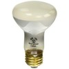 Westinghouse Lighting 0365400, 30 Watt, 120 Volt Frosted Incand R20
