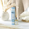 Ashleigh & Burwood Scented Home 150ml Rattanstäbchen Duft Geschenkset Jasmin