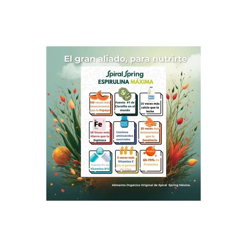 Spiral Spring 2 Bolsas 200g Alga Spirulina + Garbanzo