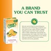 True Orange 100ct (Pack of 1) - Water Enhancer -
