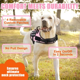 No Pull Dog Harness Small Medium Sized Dog, Service Dog Harness and Leash Set with 4 Patches, Adjustable Easy Walk Dogs Harnesses with Handle, Dogs Vest Harnesses French Bulldog, Chihuahua(Pink, M)