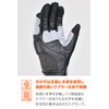 Daytona 46073 Motorcycle Gloves, Spring and Summer, Genuine Leather Palm