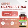 Herba Cranberry Supplement 36x Extract | 28,800mg Per Day |