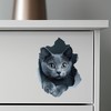 Gray Cat Decal - Wall Hole Sticker with 3D Effect