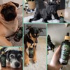 NatuRise® Omega 3 Vegan - Pets - Dogs, Cats, Horses
