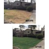 EnviroColor 4,000 Sq Feet 4Ever Green Grass and Turf Paint