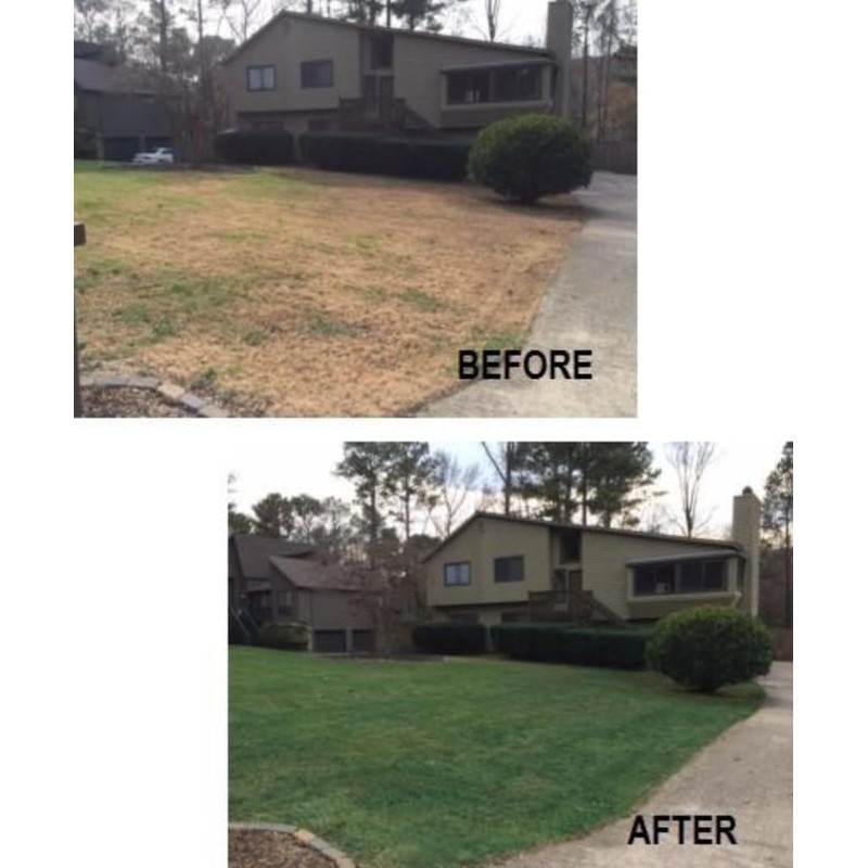 EnviroColor 4,000 Sq Feet 4Ever Green Grass and Turf Paint