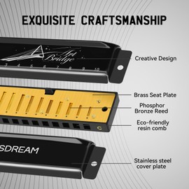 SDREAM Blues Harmonica for Adults Beginner,Professional Musicians, Students,Harmonicas key of C 10 Holes 20 Tones,Diatonic Harmonica with Case,As a Gift (Black, 10 holes blues primary)