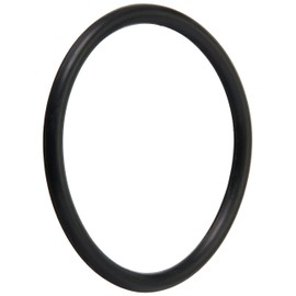 Pentair 191474 O-Ring Replacement Pool/Spa Filter and Skimmers