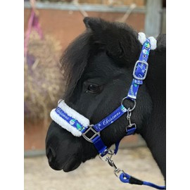Christmas Print Blue Headcollar Lead Rope Set for Mini Shetland (Cob)