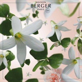 MAISON BERGER Precious Jasmine Scented Bouquet Refill 200ml