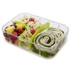 PackIt Flex Bento Food Storage Container, Lime Punch