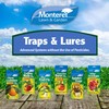 Monterey Wasp & Yellow Jacket Trap - Non-Toxic, Pesticide-Free, Organic