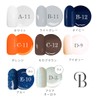 CLARA GEL CLARA GEL Nail Nail Color Gel Glitter Holo