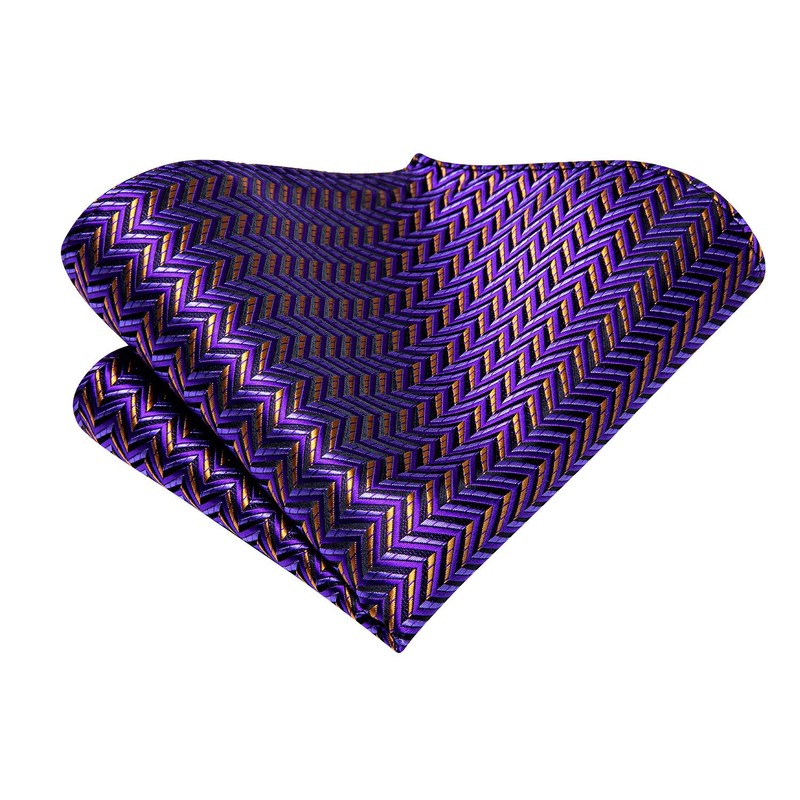 Hi-Tie Purple and Gold Extra Long Ties for Men 70