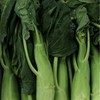 Broccoli Seeds - Chinese Broccoli - Big Stem - 1