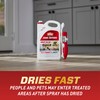Ortho Home Defense Indoor and Outdoor Bug Killer Spray Bundle,