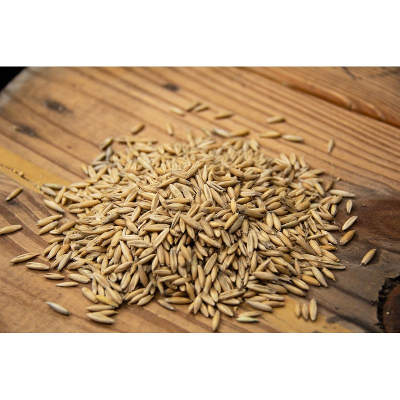New Country Organics | Organic Oats | Certified Organic and