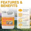 Rock Glue for Landscaping with Sprayer, Ready-to-Use 1Gallon Mulch Glue