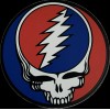 Lowsport Grateful Dead steal your face Hockey Puck
