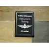 Instrument Flight Training, Pilot, Pilot Gifts, Rating
