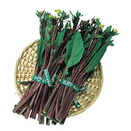 Yu Choy Sum Seeds - Kosaitai - Hon Tsai Tai - 1 Oz ~8600 Seeds - Non-GMO, Heirloom - Asian Garden Vegetable