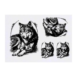 Azeeda 4 x 'Vintage Wolfsporträt' Temporäre Tattoos - Wasserfest, Hautfreundlich & Ungiftig · Transfers in Verschiedenen Größen (TO00084500)