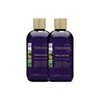 2 Shampoo Anticaída Extractos Romero Y Limón Terramar /250ml