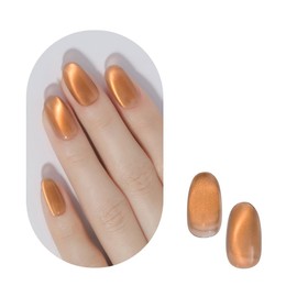 Real Fruit Magnet, 10 Real Fruit Magnet, Magnetic Nail, Color Gel