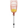 Teal Turtle Professional Apple Fruit Picker (Basket with Telescopic Handle,