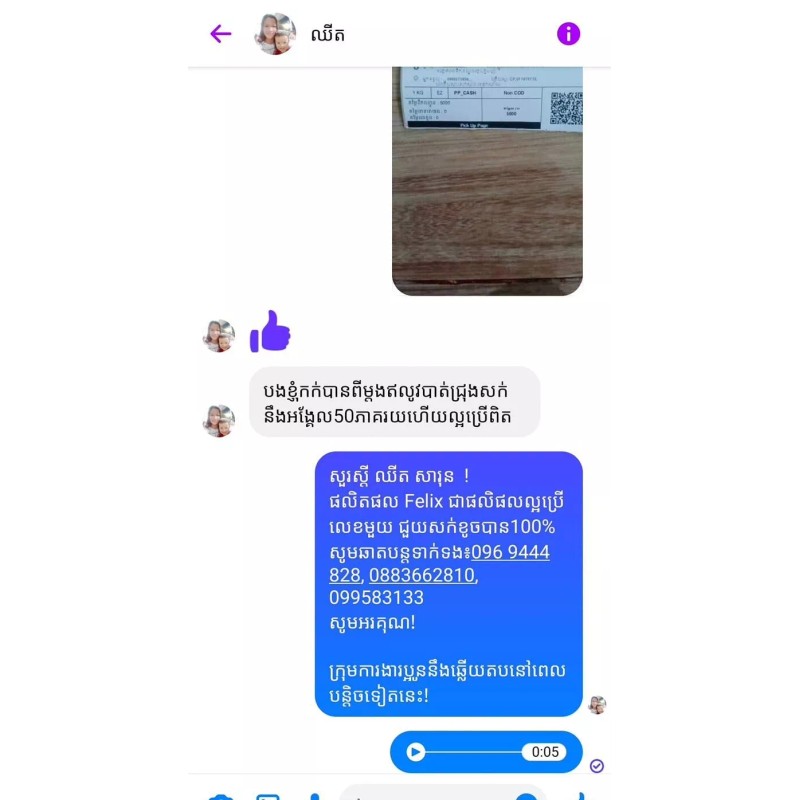 Felix Argan Oil Hair Shampoo សាប៊ូកក់សក់ហ្វ