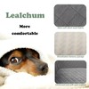 Lealchum Dog Car Seat for Medium/Large Dogs,2 Clip-On Safety Leashs