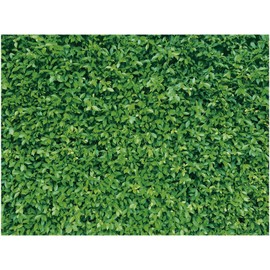 Mixweer 8 x 10 ft Green Leaves Wall Backdrops Photography 3D Greenery Grass Nature Polyester Fabric Background for Birthday Wedding Dinosaur Jungle Shower Party Decorations Photo Prop