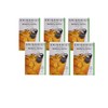China Mist Iced Tea Brew-at-Home Iced Green Tea, Blackberry Jasmine,