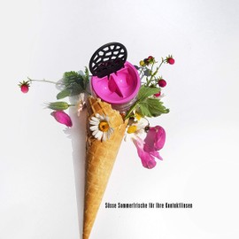 Lensbix Contact Lens Case The Perfect Gift For Lens Wearers. The Innovative Way Of Storage. Pink Dragonfly (Pink)