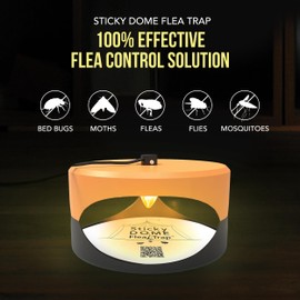 ASPECTEK Sticky Dome Flea Trap, Odorless Glue Trap with 2 Sticky Discs, Effective Bed Bug Killer and Flea and Tick Treatment, Indoor Insect Trap for Bugs, 1 Pack in Orange and Dark Gray